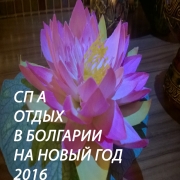 ��� ����� � ��������