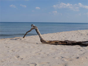 ���� � ����� � ��������.���� � ������.������.