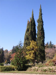 Городской парк в городе Сандански Болгария